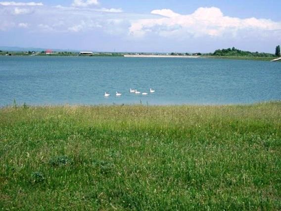 Doar ... NATURA - 4 - gedc0346.JPG